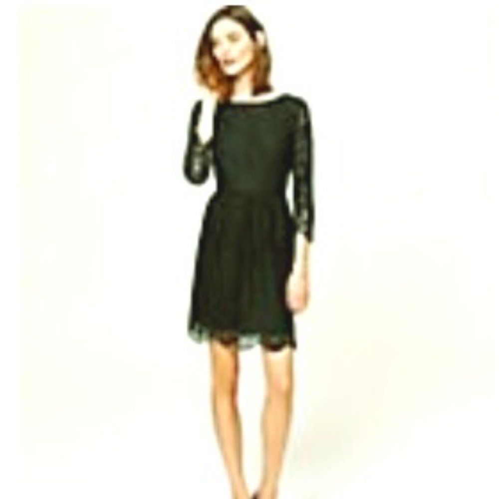NWT Black Loft Lace Scallop Dress size 2
